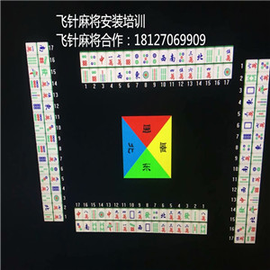 ������ͨ�Ʒ����齫����װ������737��ͨ�Ʒ������